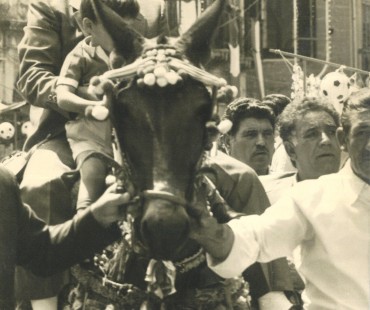 Bambino a cavallo di un mulo durante la sfilata