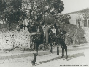 23-3-Festa-Madonna-del-Monte-Il-mulo-bardato-e-tintinnante-di-sonagliere