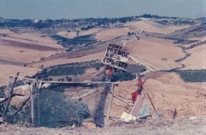 paesaggio agricolo 1981