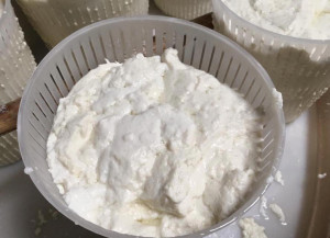 3 Ricotta Rijsana